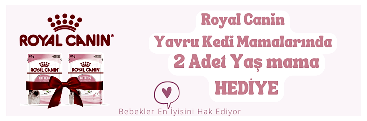 royal canin yaş mama hediye